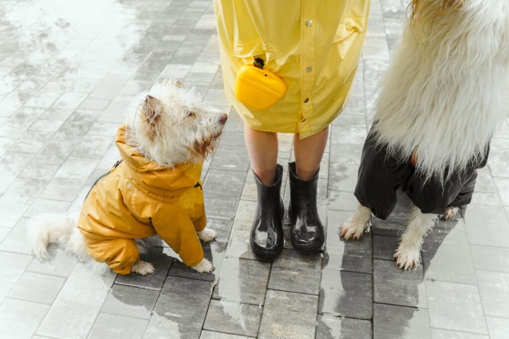 A vibrant rainy day scene featuring two dogs in raincoats and a person in boots walking outdoors.